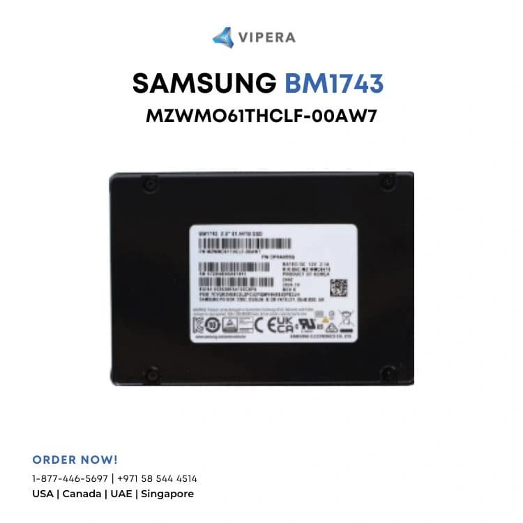 Samsung BM1743 MZWMO61THCLF-00AW7