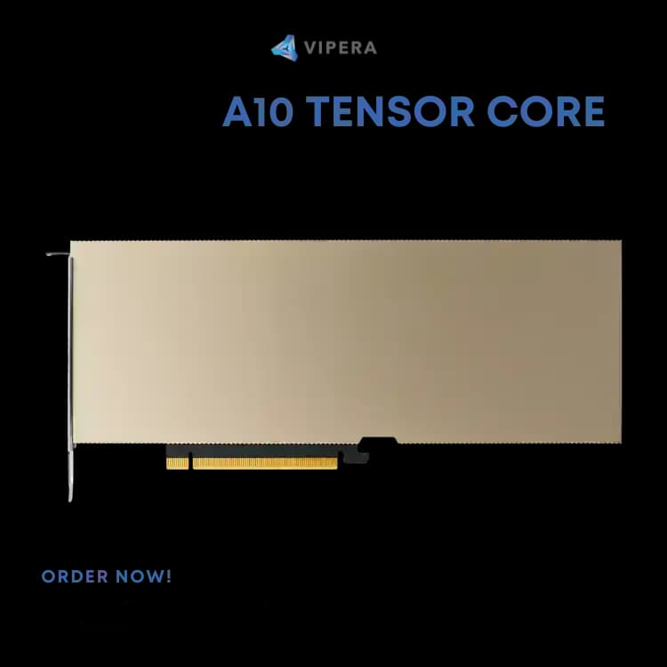 NVIDIA A10 24G Tensor Core GPU